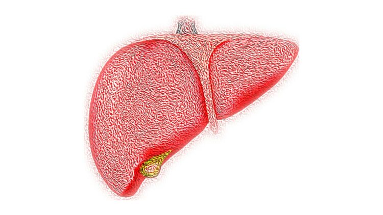 Enhance your liver health