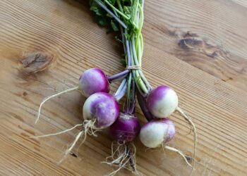 Turnip Health Benefits