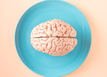 What food can Boost Brain Power