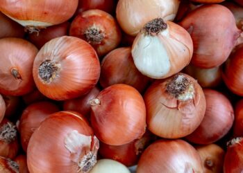 what are the benefits of onion and garlic