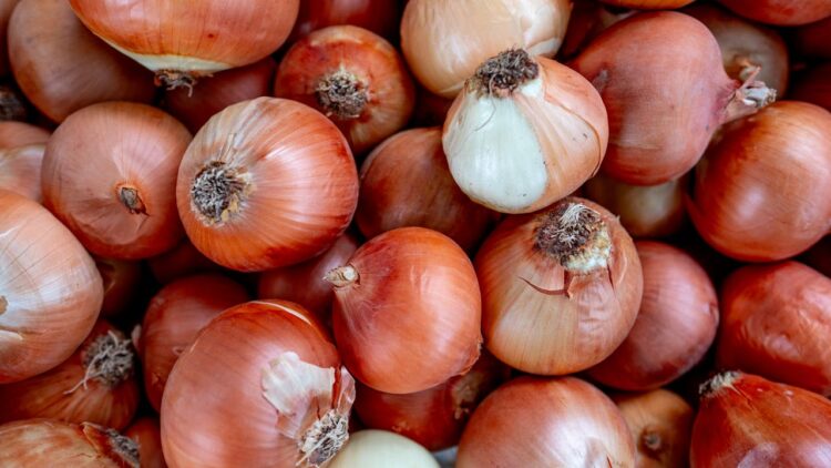 what are the benefits of onion and garlic