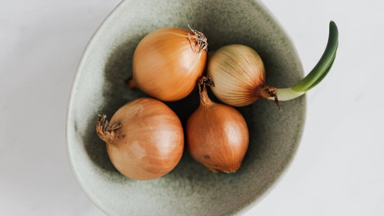 benefits of onions to the body