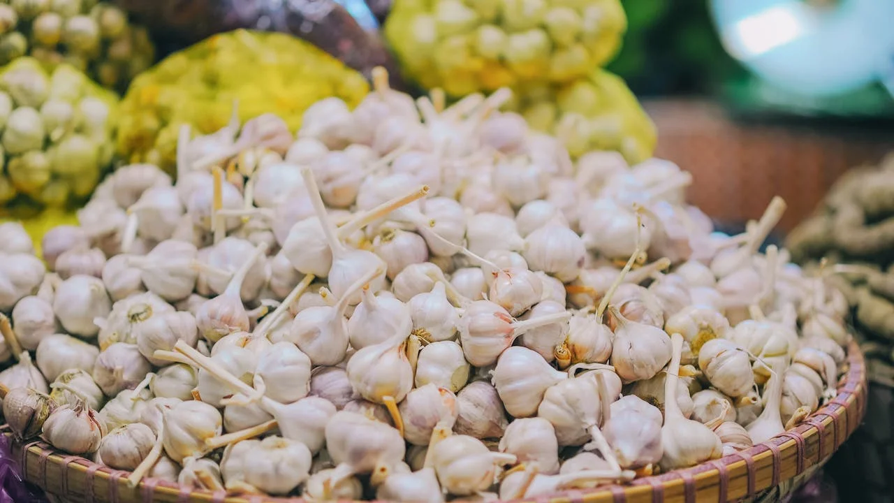 benefits of eating raw garlic when sick