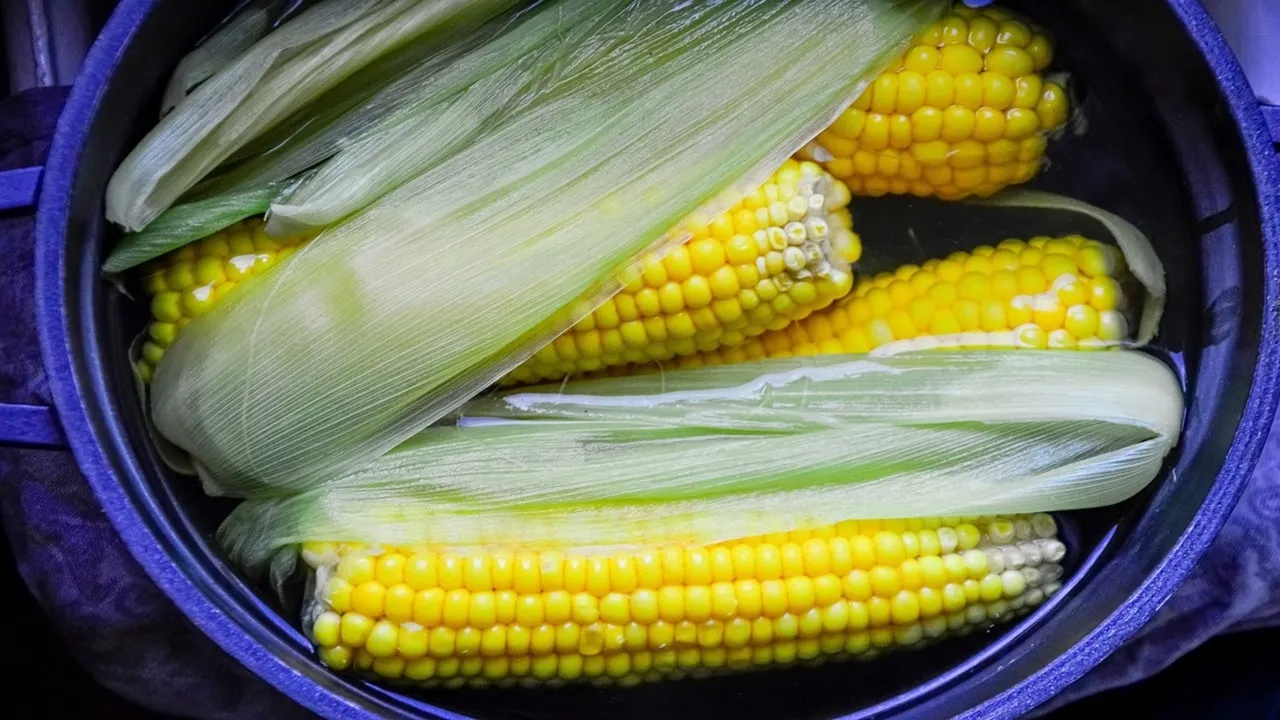 benefits of Sweetcorn and coconut
