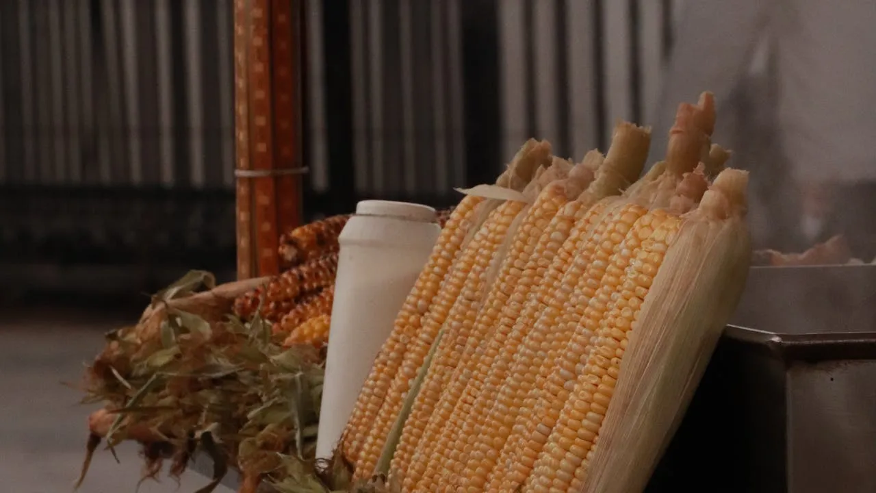bad side effects of sweet corn