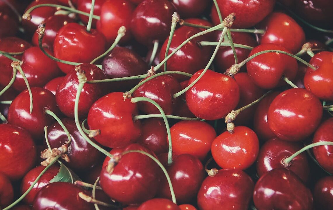 Sturdy Lifestyle Cherries are Good For Health