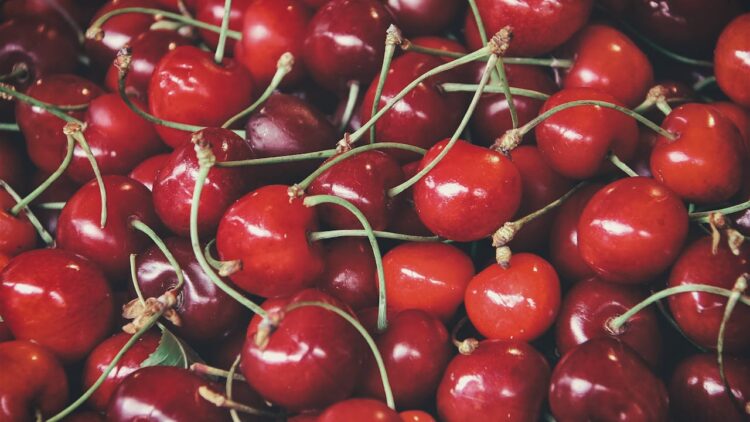 are fresh cherries good for your health