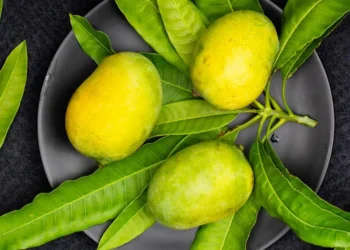 what are the spiritual benefits of mango leaves