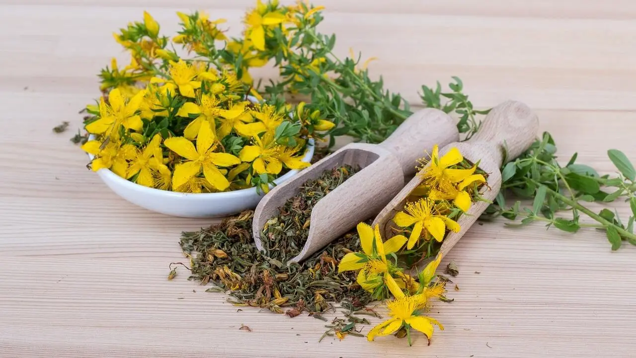 Importance of herbal remedies