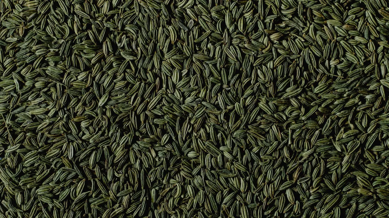 benefits of fennel seeds for men