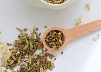 health benefits of fennel seeds tea