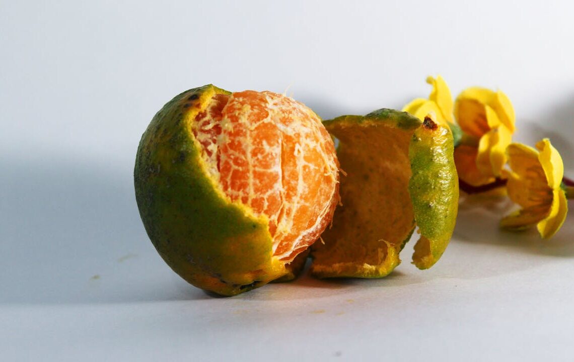 Sturdy Lifestyle Unlocking the Health Benefits of Orange Peel